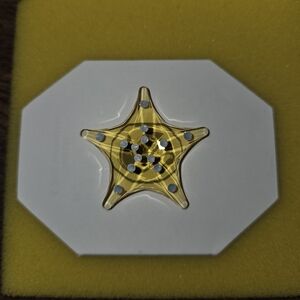 Swarovski 2025 SCS Membership Starfish